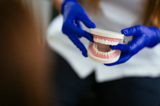  Ashley, OH Holistic Dental Care Services Pros